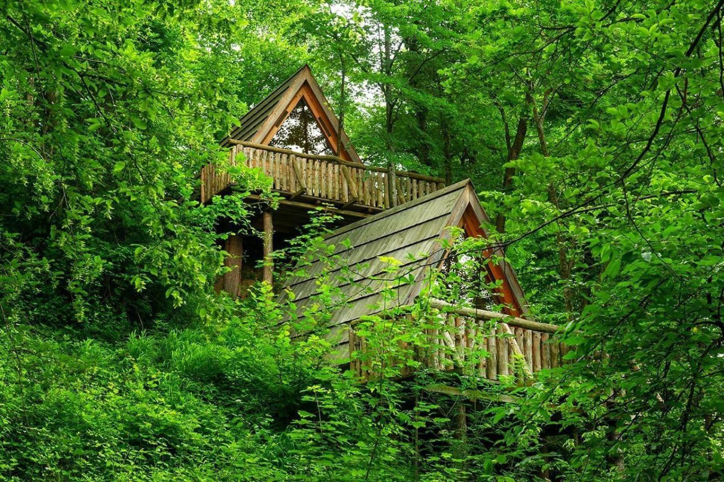 Glamping Savinja Hotel Ljubno Eksteriør billede