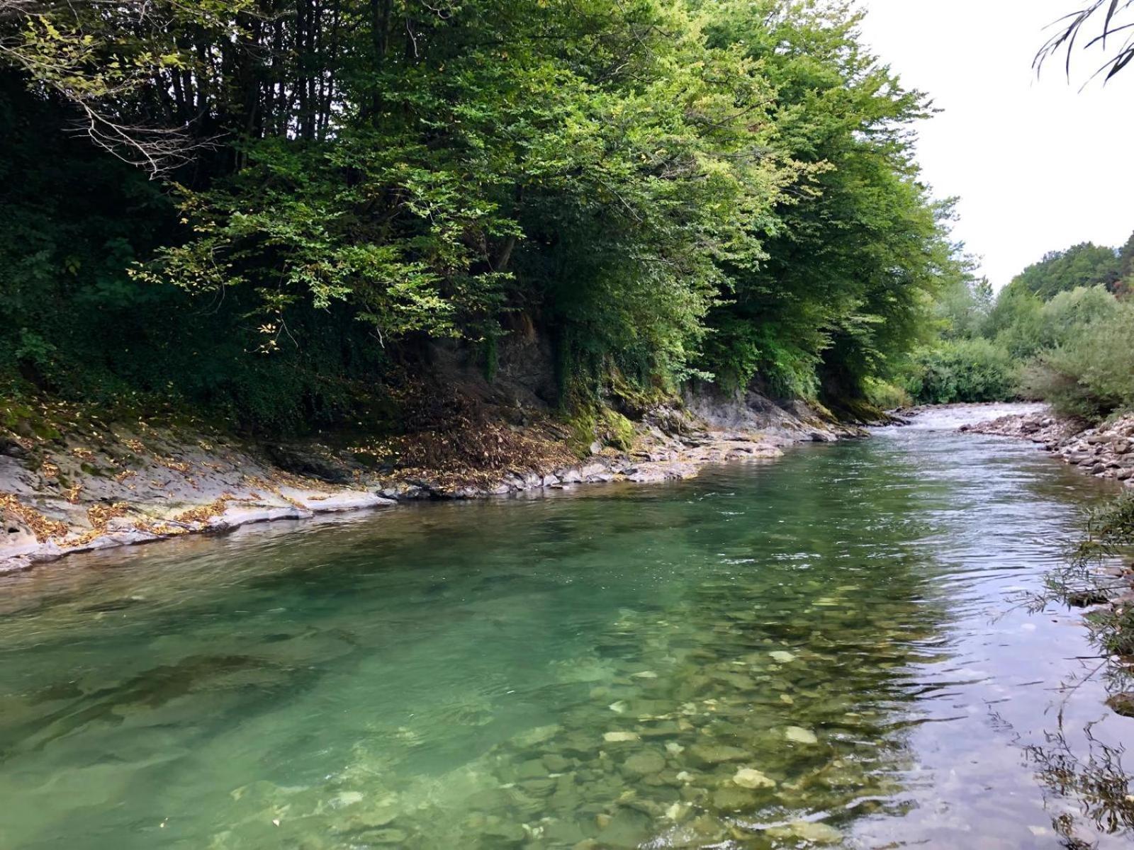 Glamping Savinja Hotel Ljubno Eksteriør billede