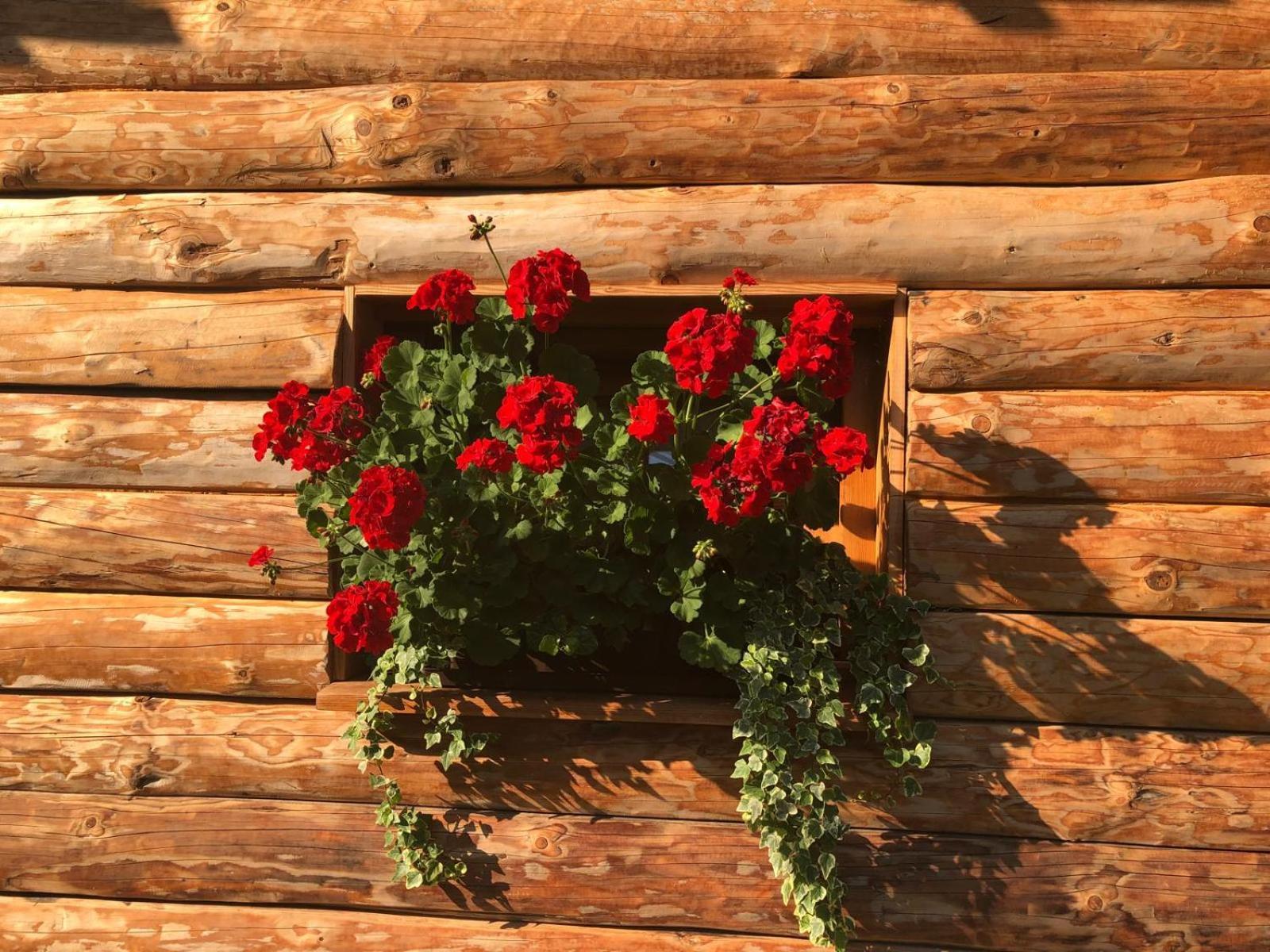 Glamping Savinja Hotel Ljubno Eksteriør billede