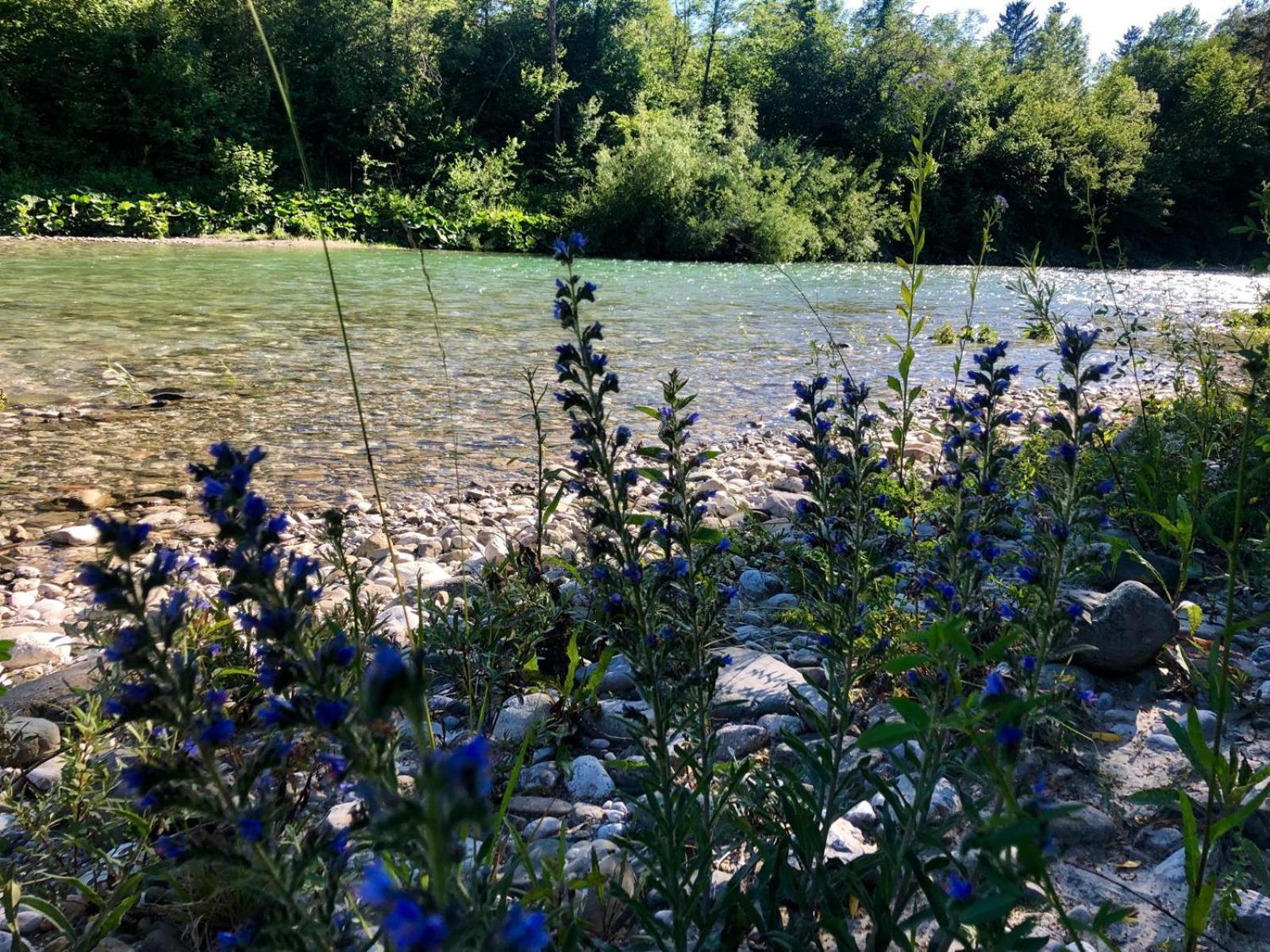 Glamping Savinja Hotel Ljubno Eksteriør billede