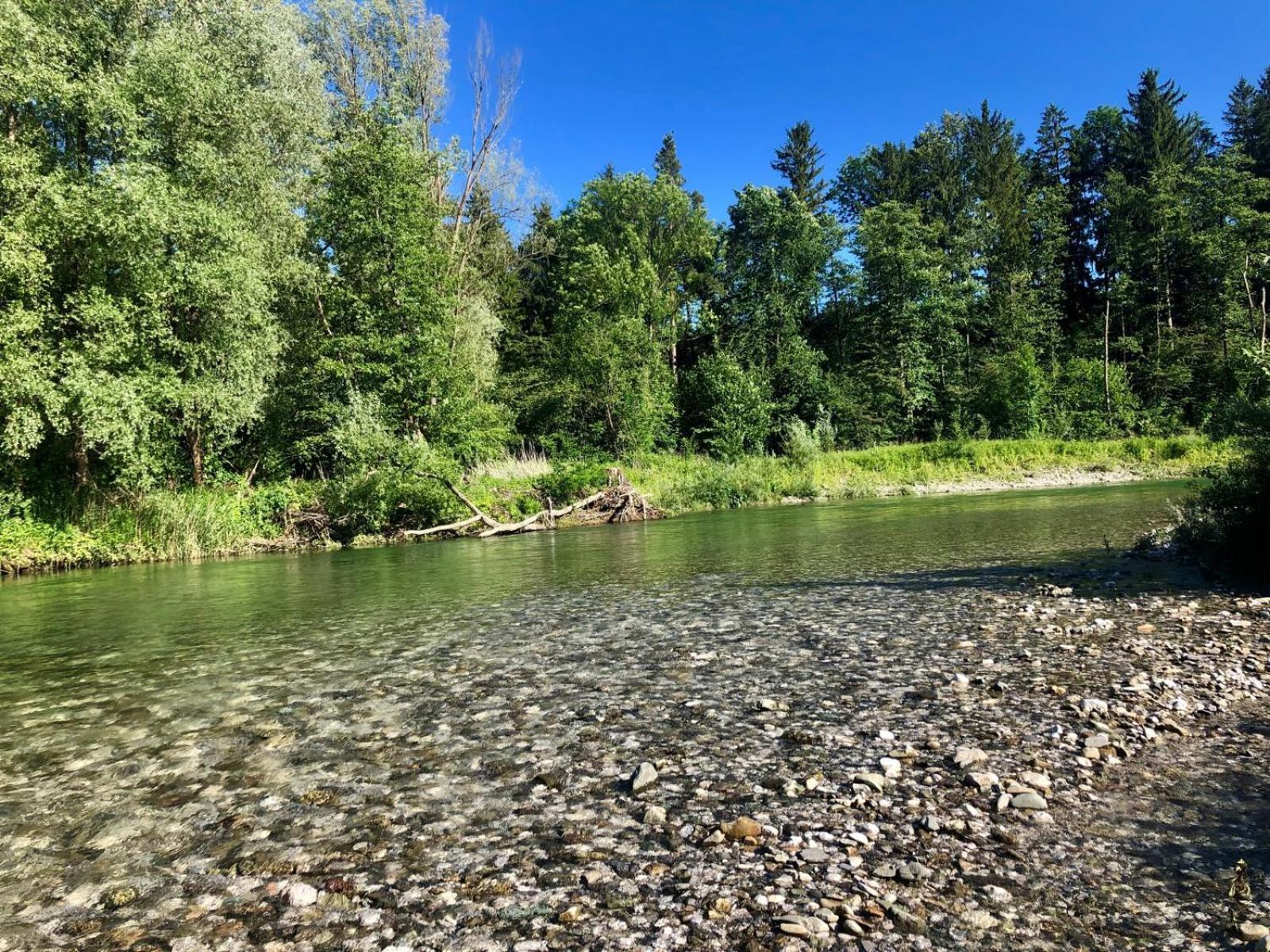 Glamping Savinja Hotel Ljubno Eksteriør billede
