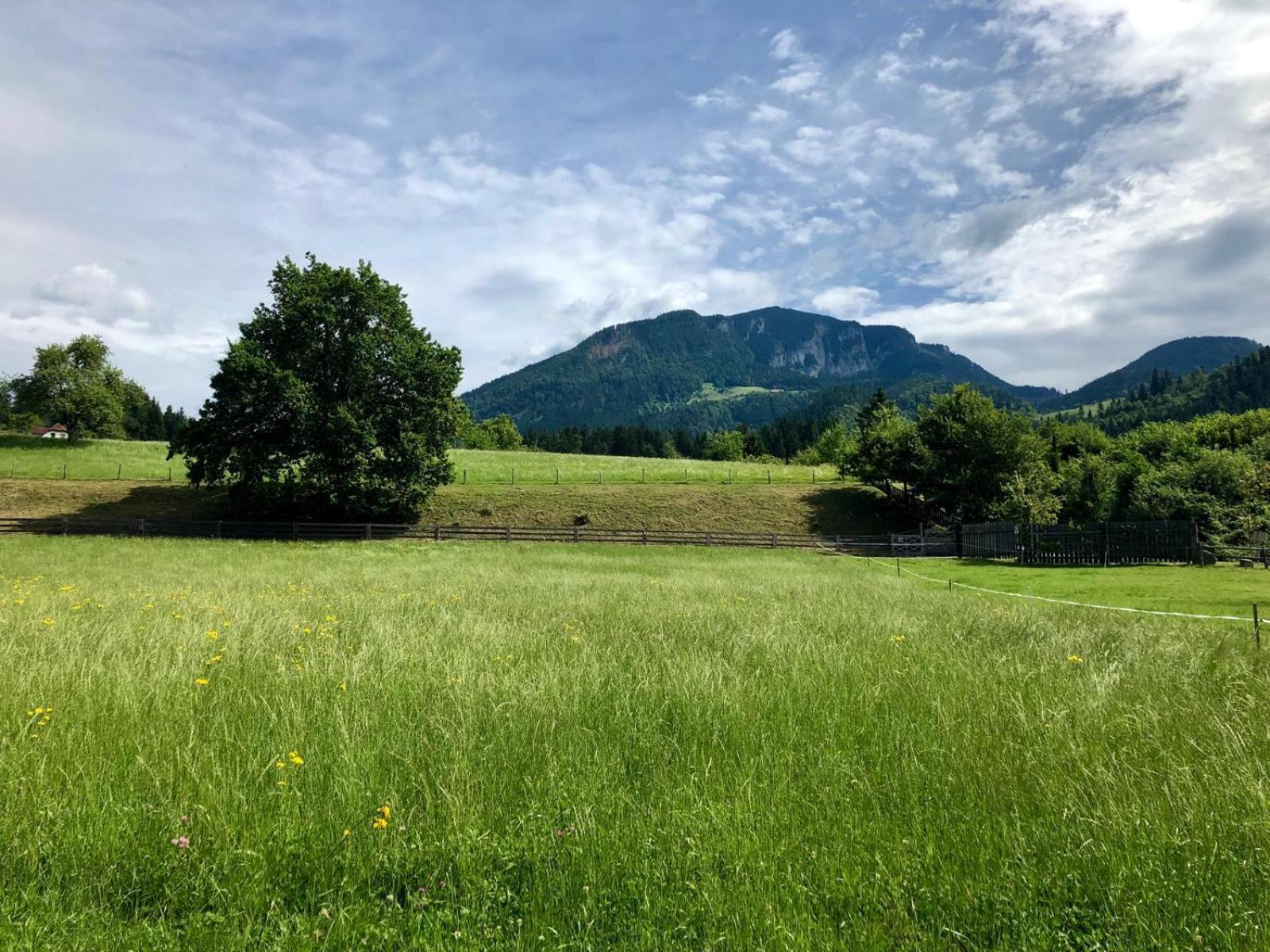 Glamping Savinja Hotel Ljubno Eksteriør billede